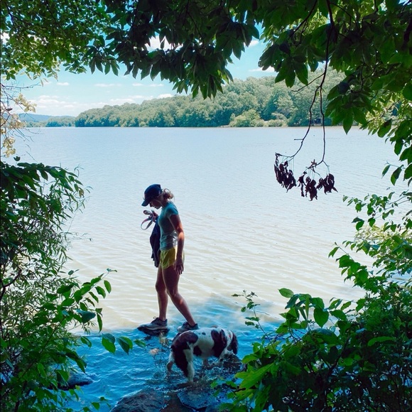 Meet your Posher, Sydney - Picture 1 of 5